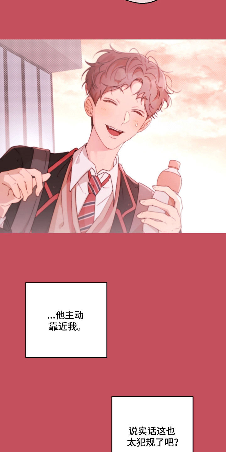 幸运熊先生漫画,第6章：一见钟情4图