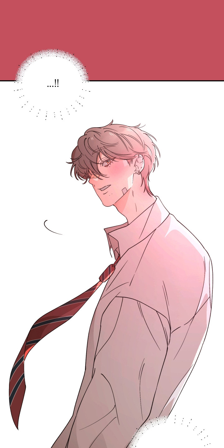 幸运熊先生漫画,第6章：一见钟情5图