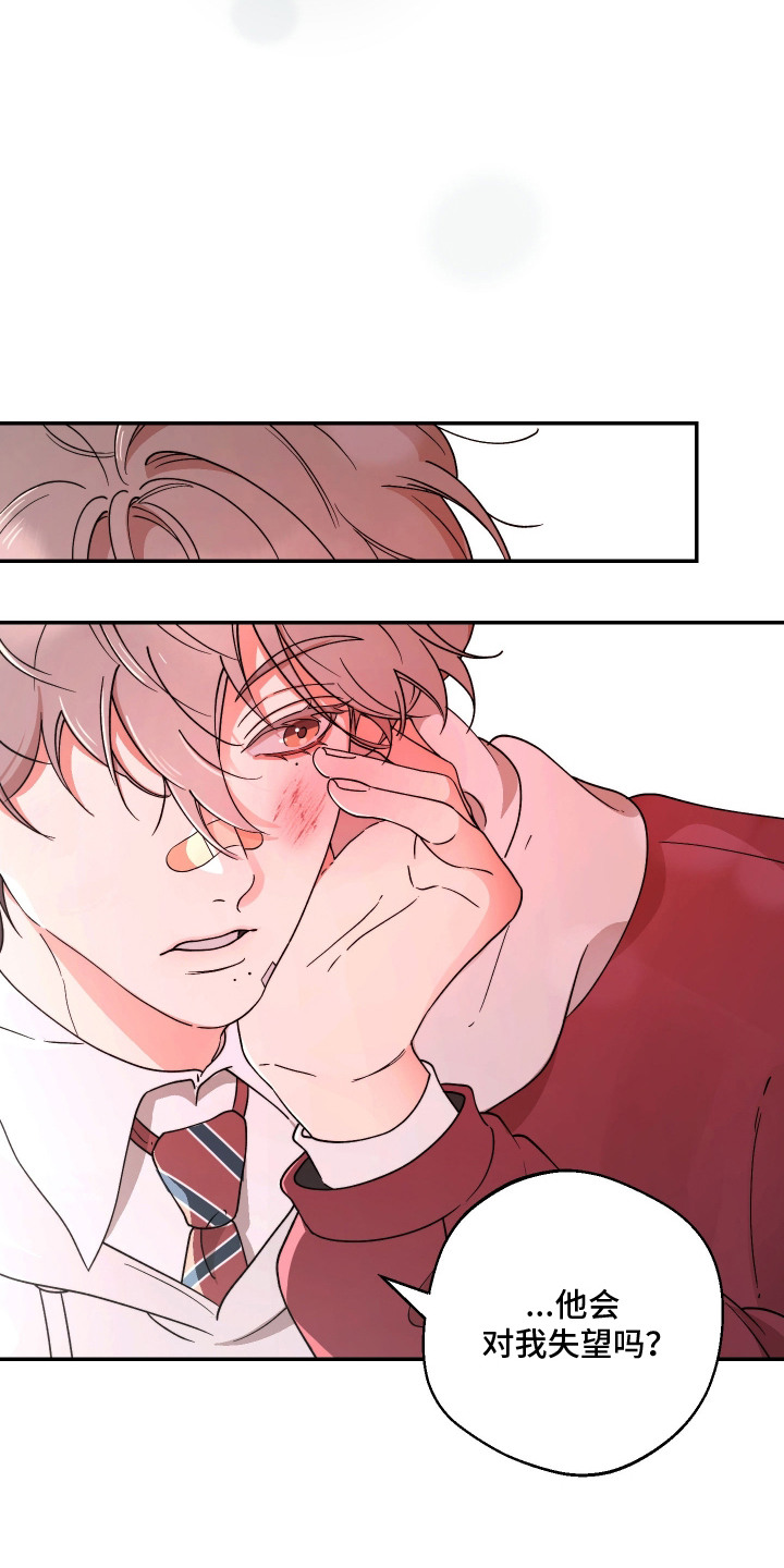 幸运熊先生漫画,第6章：一见钟情3图