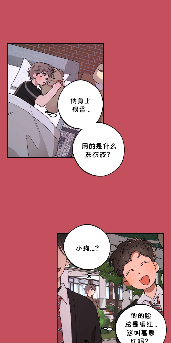 幸运熊先生漫画,第6章：一见钟情3图