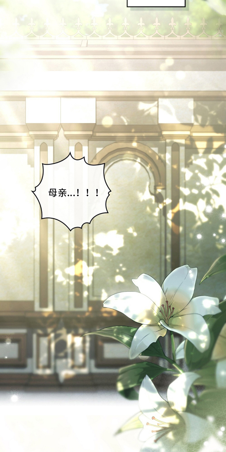 冷面公爵非要娶我漫画,第6章：按计划行事3图