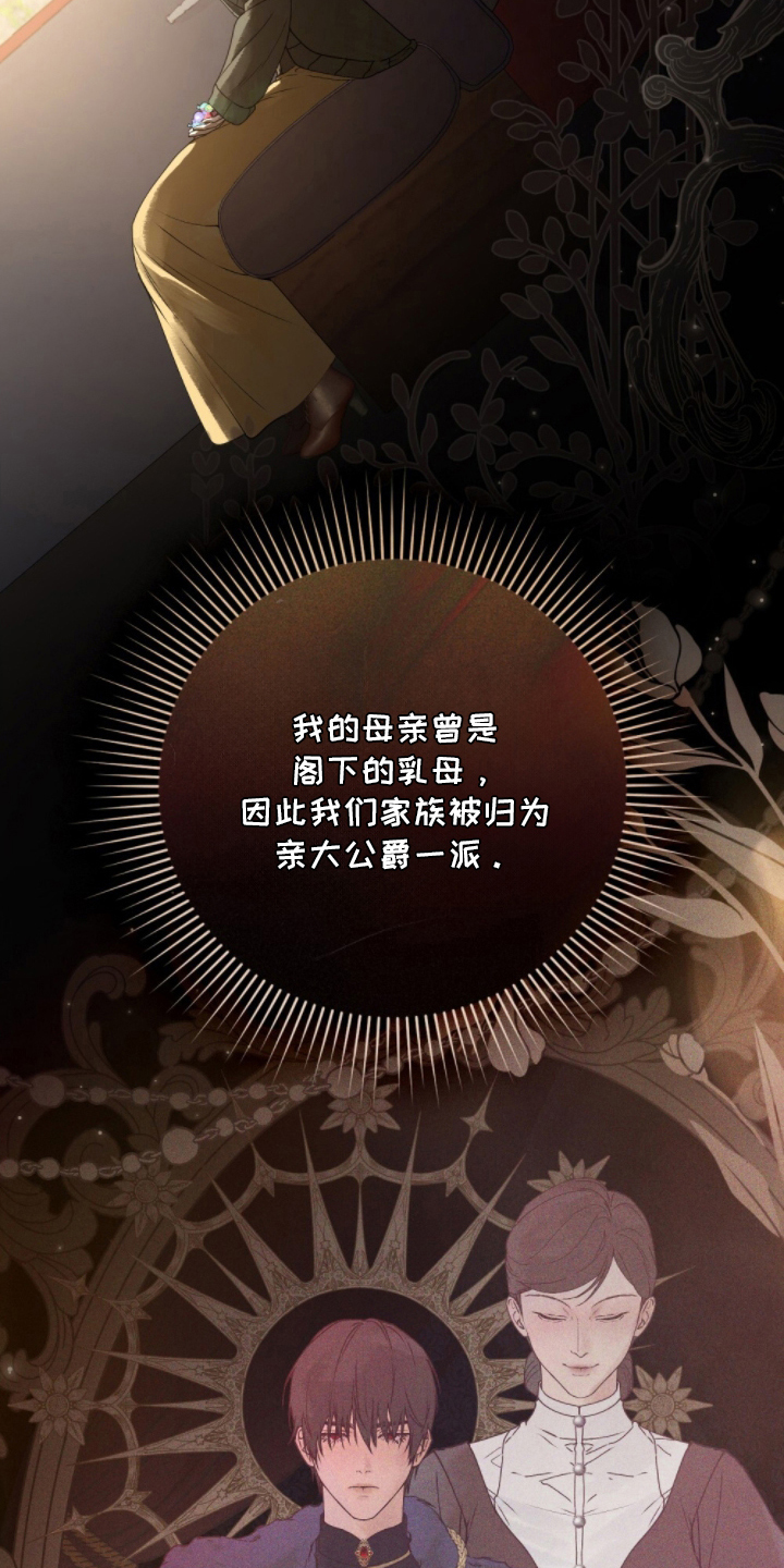 傲娇公主与冷面侍卫漫画,第5章：添麻烦5图