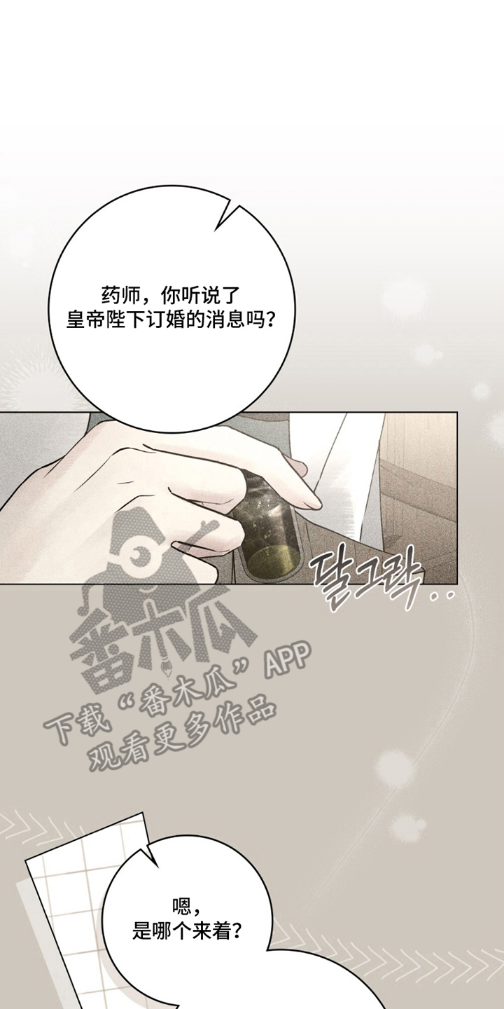 冷面公爵非要娶我漫画,第16章：结婚对象1图
