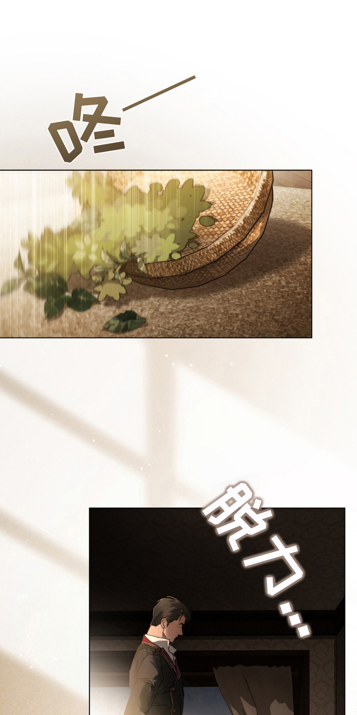 冷面公爵非要娶我漫画,第3章：大公阁下4图