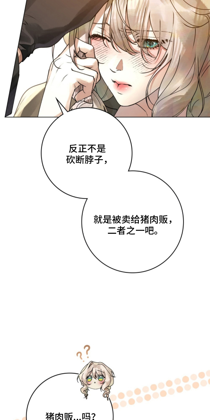 冷面公爵非要娶我是国漫吗漫画,第4章：结婚吧2图