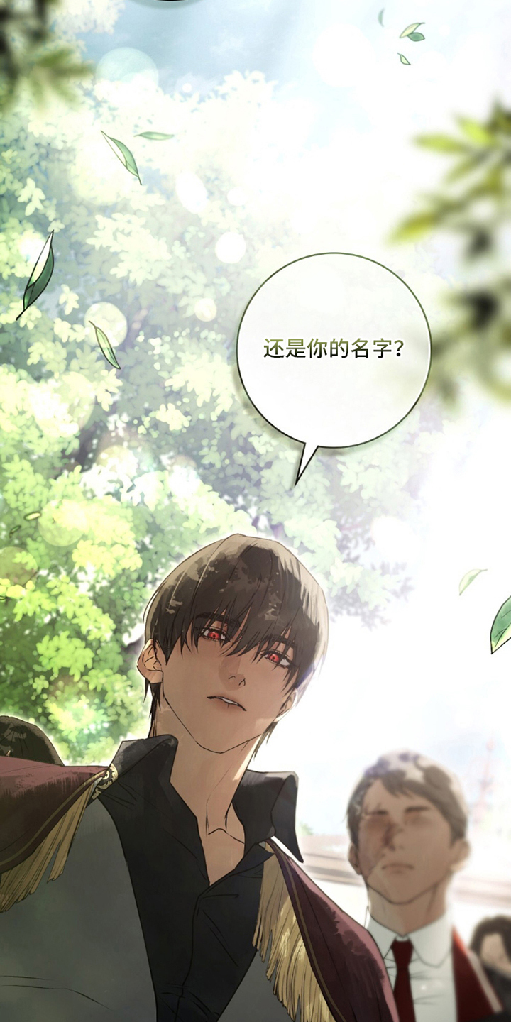 冷面公爵非要娶我为妻漫画,第6章：按计划行事2图