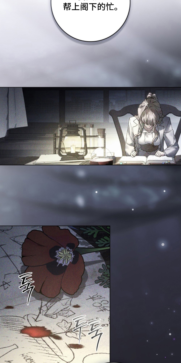 傲娇公主与冷面侍卫漫画,第5章：添麻烦1图