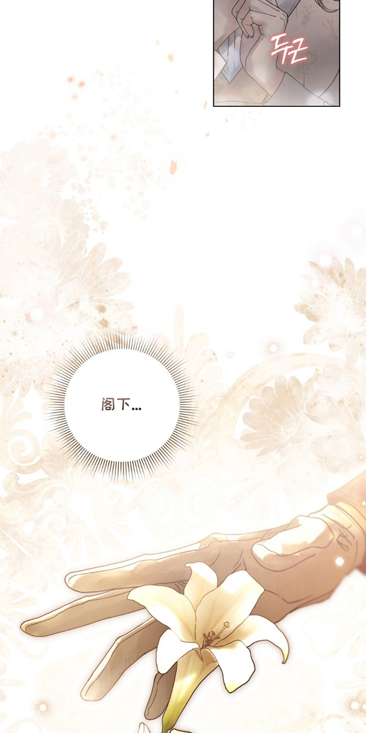 冷面公爵非要娶我讲的啥漫画,第14章：闪闪发光4图