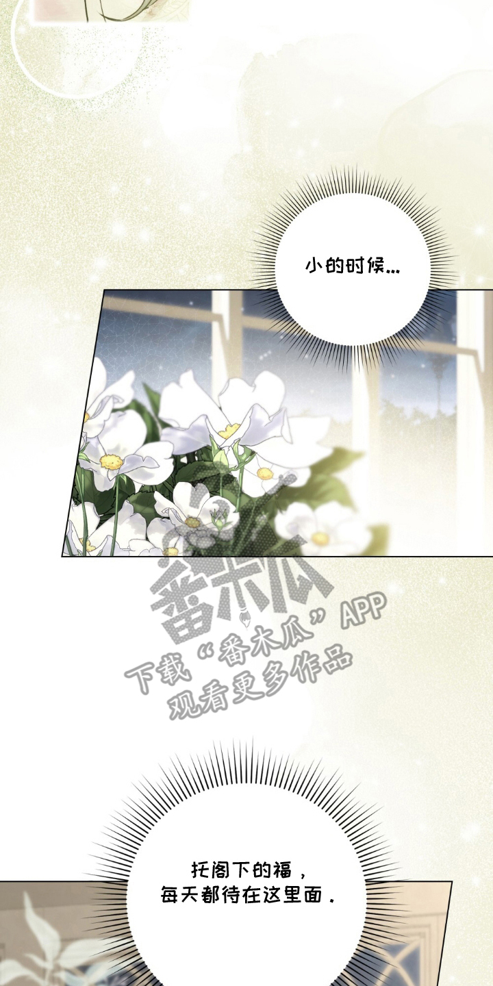 第19章：过来3