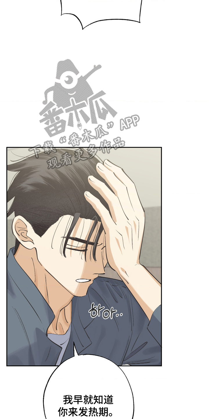 欧米伽骗局漫画,第5章：不要报警！4图