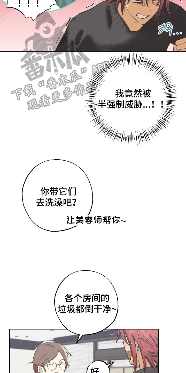 欧米伽骗局漫画,第6章：一个月1图