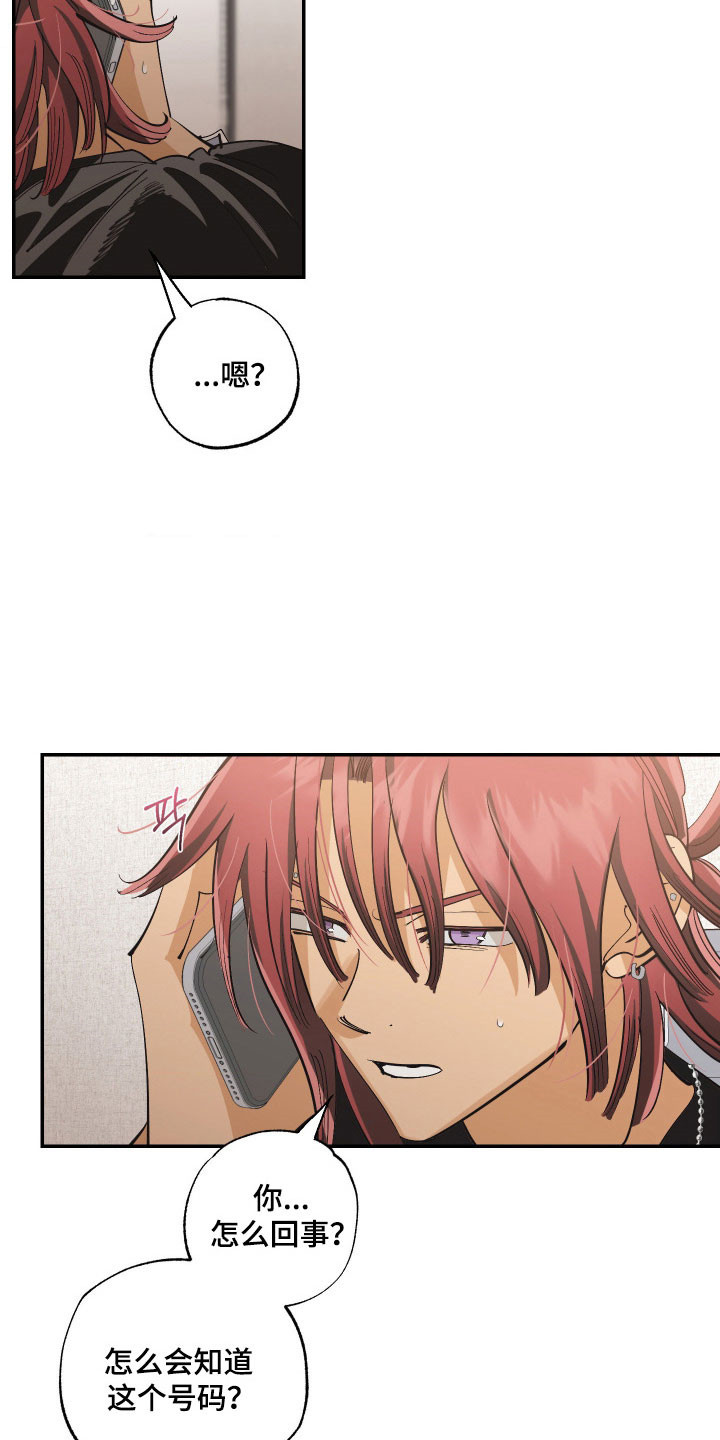 欧米伽骗局漫画,第16章：见一面吧1图