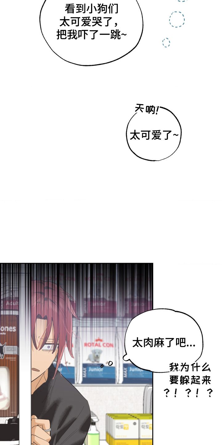 欧米伽骗局漫画,第7章：那可不行4图