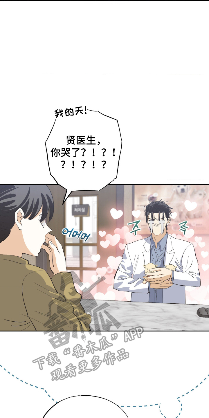 欧米伽骗局漫画,第7章：那可不行3图