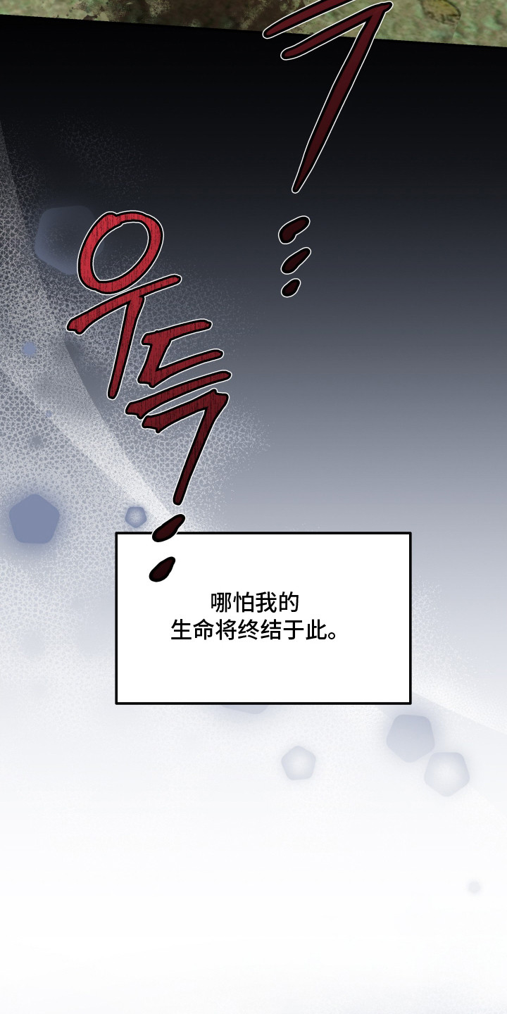 金盏花夜记漫画,第10章：永远追随（完结）1图
