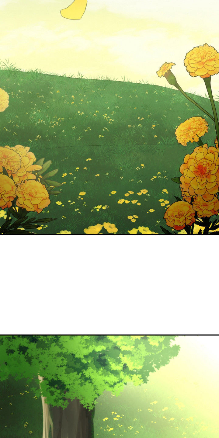 金盏花夜记漫画,第10章：永远追随（完结）3图