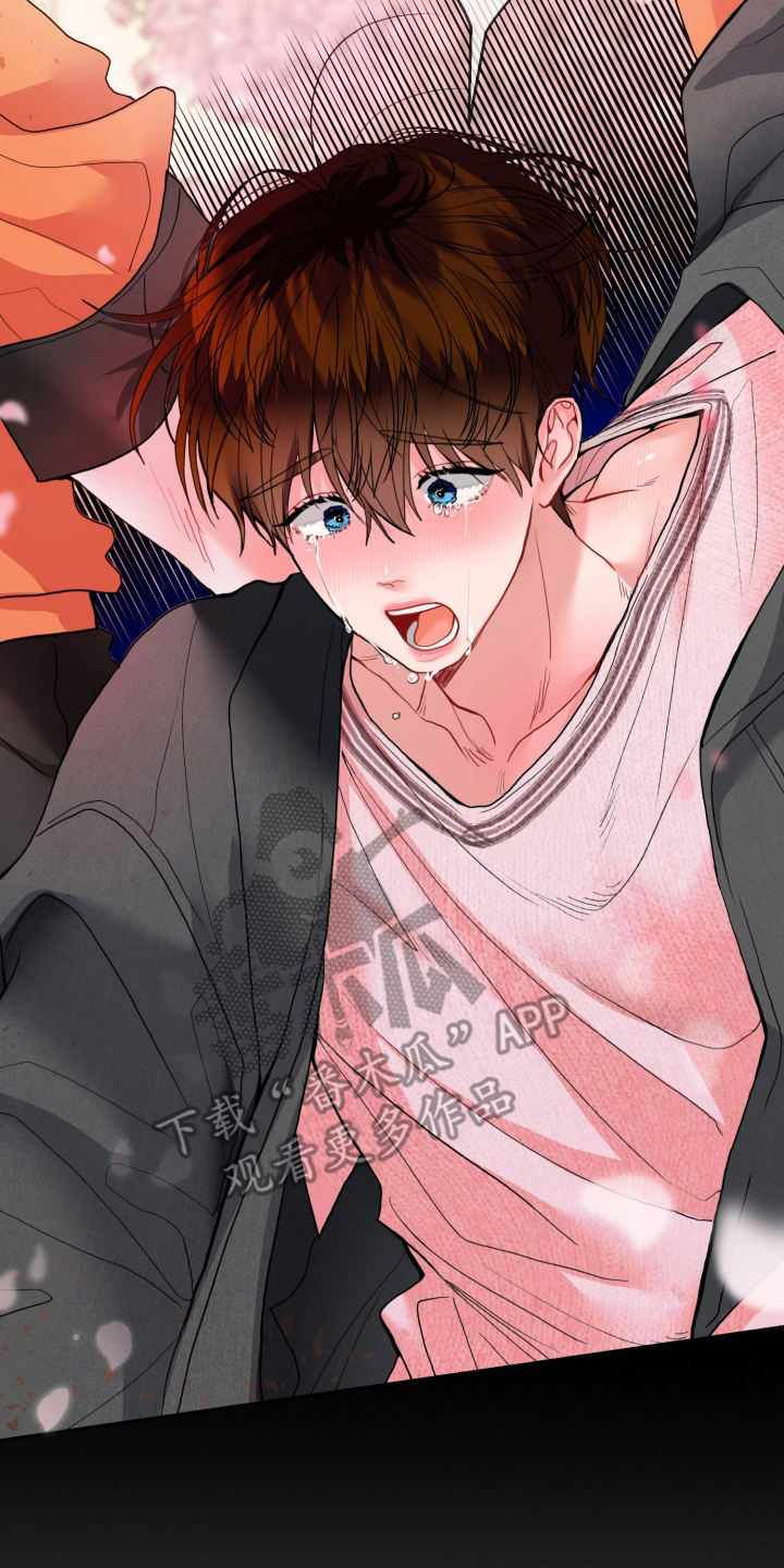陌生挚爱漫画,第1章：你是我的5图