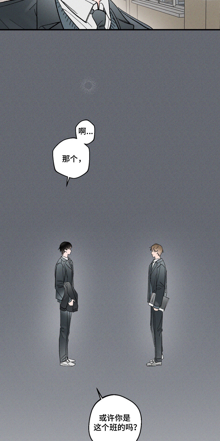 醋意天鹅漫画,第13章：牵手（完结）5图