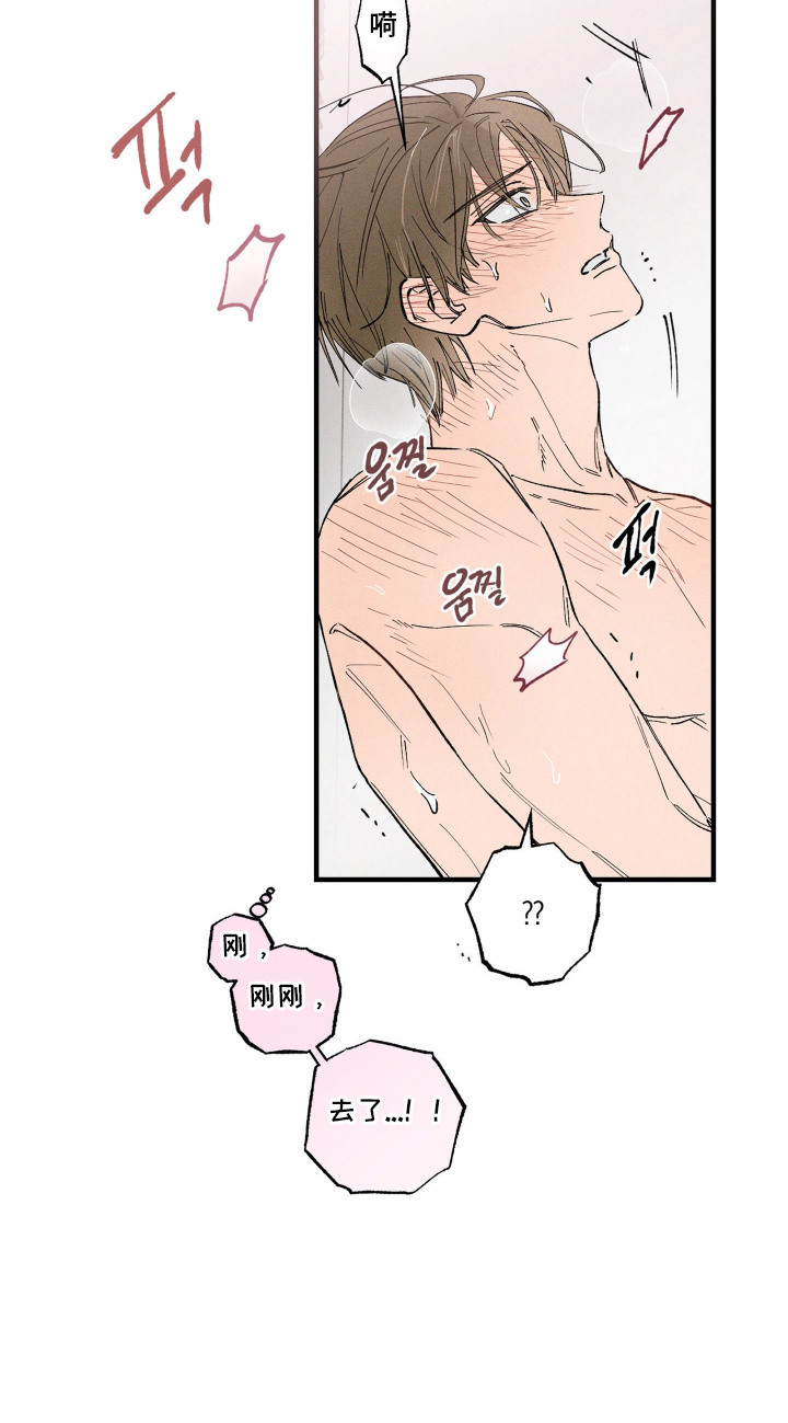 醋意天鹅漫画完结了吗漫画,第11章：都是误会3图