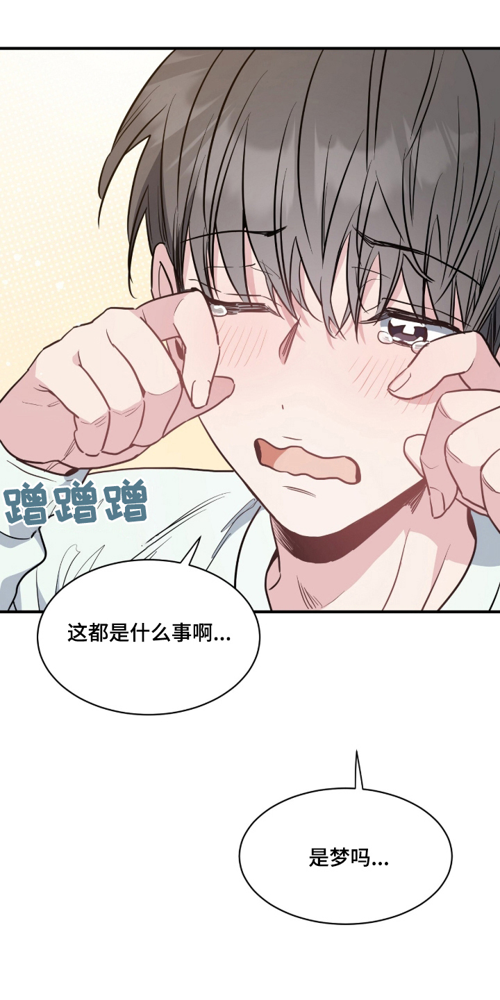 星光与你by路菲mz免费阅读漫画,第4章：圣诞节快乐3图