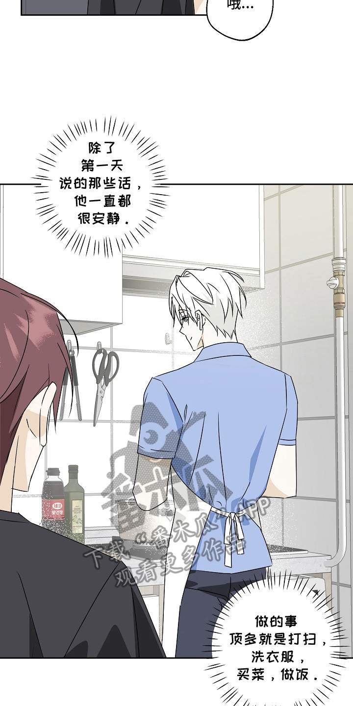 我的AI男友漫画,第3章：同居4图