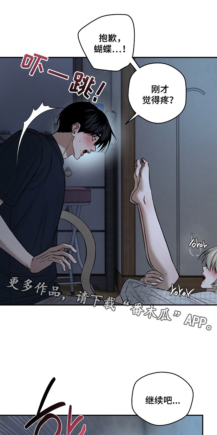 侵蚀猫咪日记动画介绍漫画,第11章：帮忙解决5图