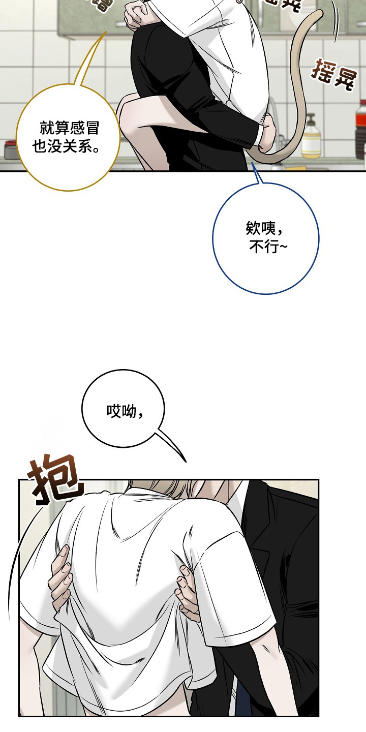 侵蚀猫咪日记3玩法攻略漫画,第1章：小猫玩具3图