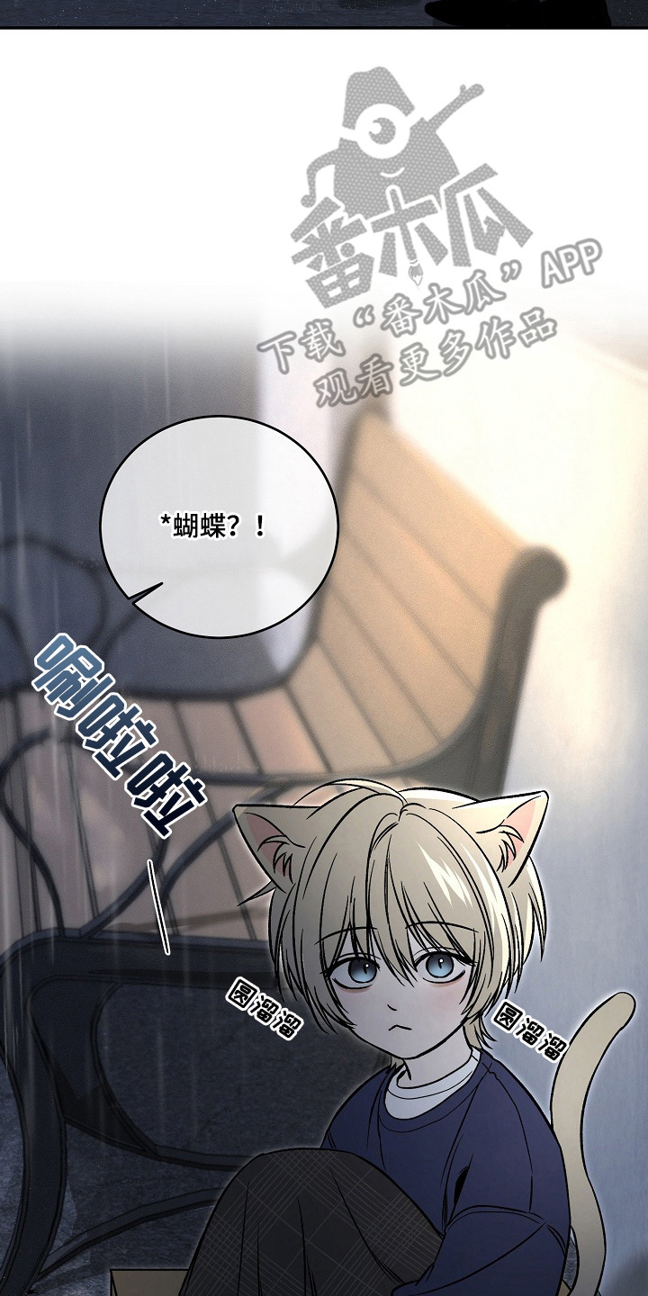 侵蚀猫咪日记漫画,第2章：兽人游戏5图