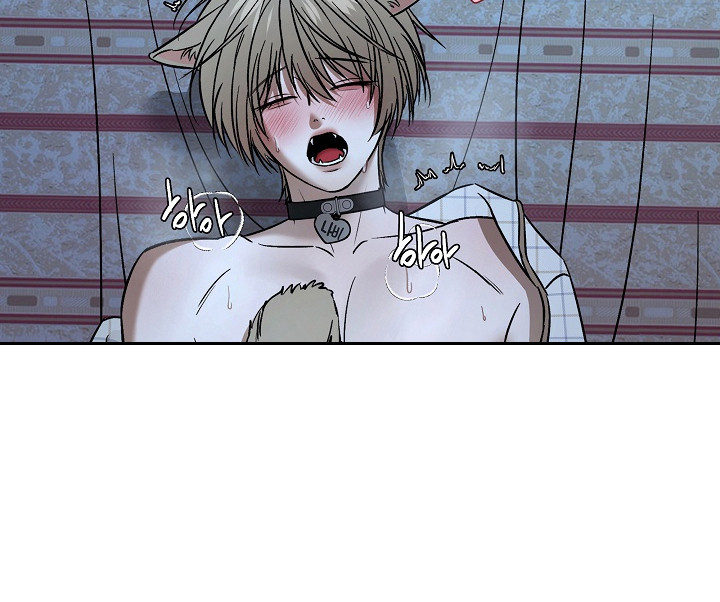 侵蚀猫咪日记动画介绍漫画,第11章：帮忙解决1图