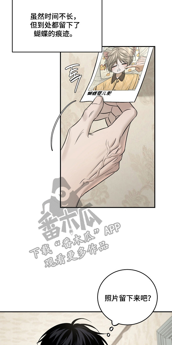 侵蚀猫咪日记动画介绍漫画,第6章：照片2图