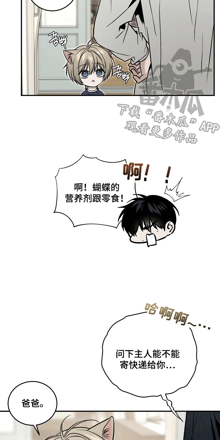 侵蚀猫咪日记动画介绍漫画,第6章：照片3图