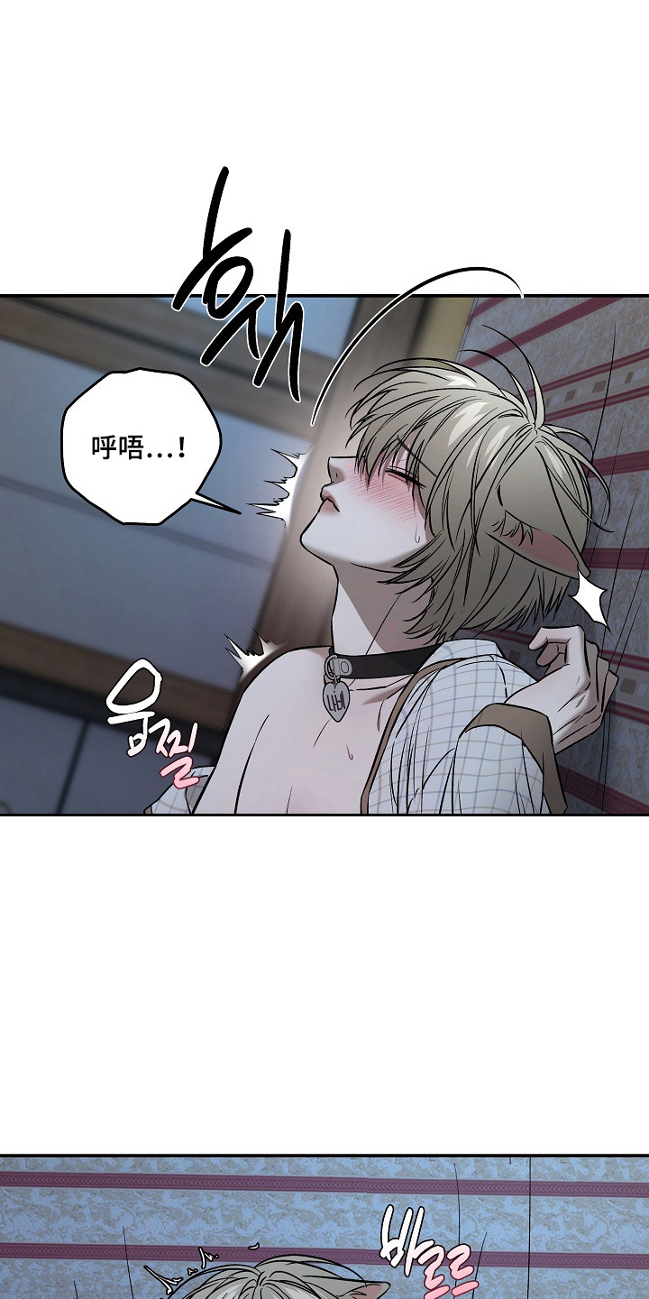 侵蚀猫咪日记动画介绍漫画,第11章：帮忙解决5图