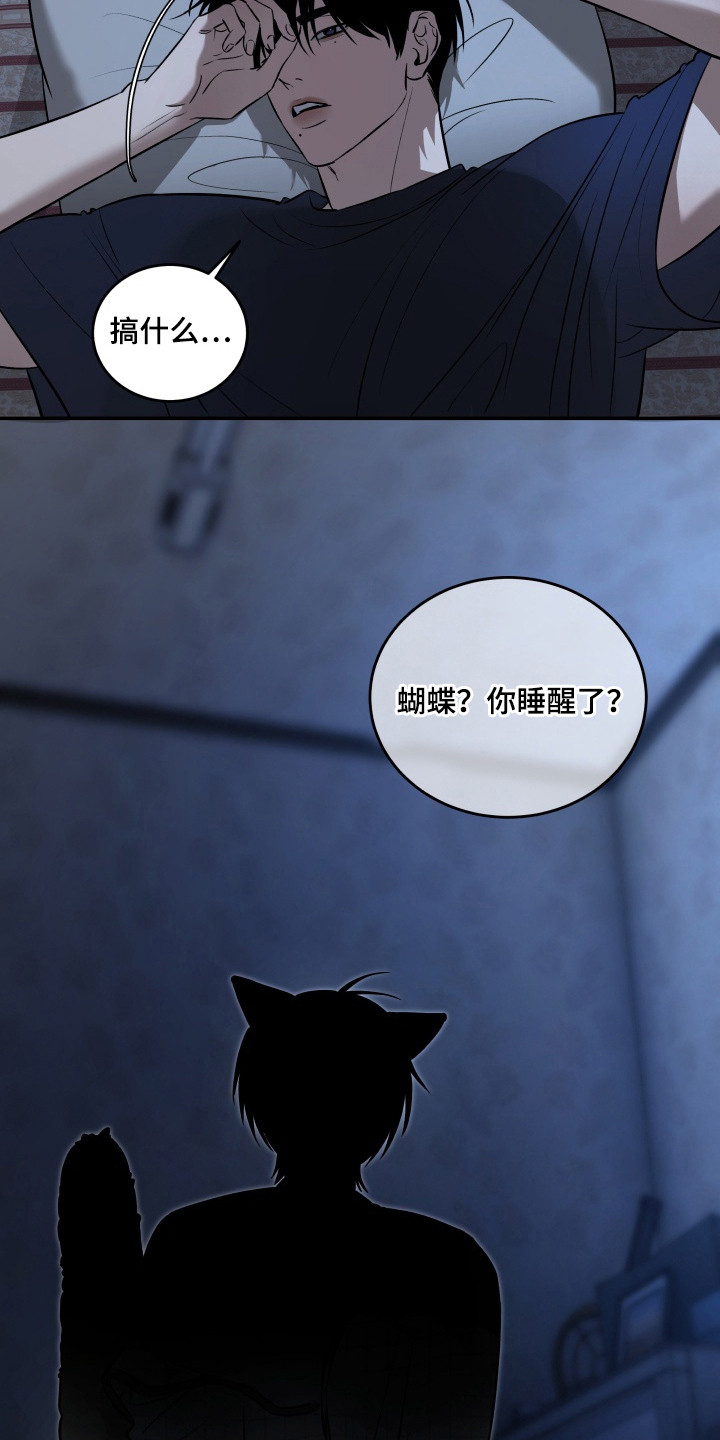 侵蚀猫咪日记3玩法攻略漫画,第10章：闹别扭4图