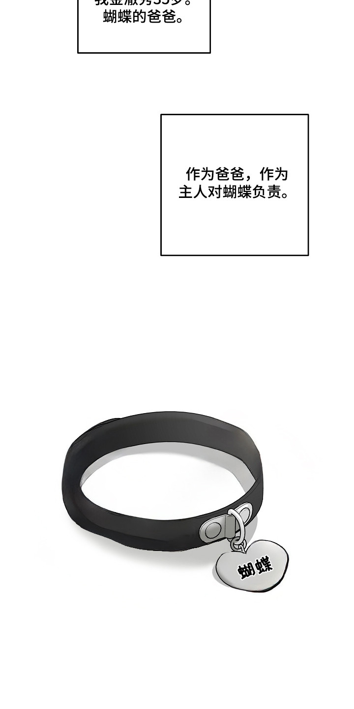 侵蚀猫咪日记在哪连载漫画,第12章：负起责任（完结）2图