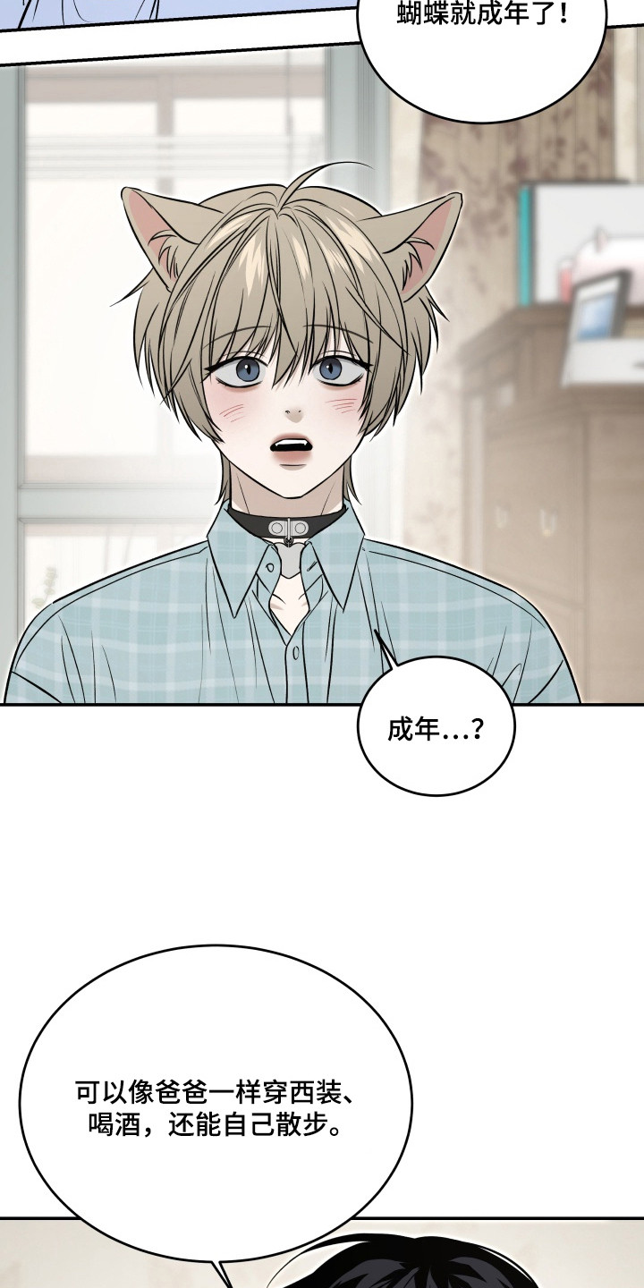 侵蚀猫咪日记作者有几个漫画,第9章：长大了1图