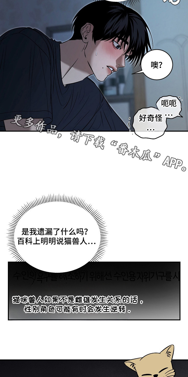 侵蚀猫咪日记动画介绍漫画,第11章：帮忙解决4图