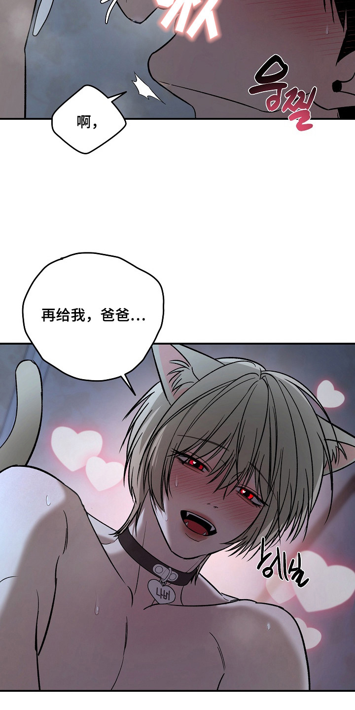 侵蚀猫咪日记在漫蛙上叫什么漫画,第12章：负起责任（完结）4图