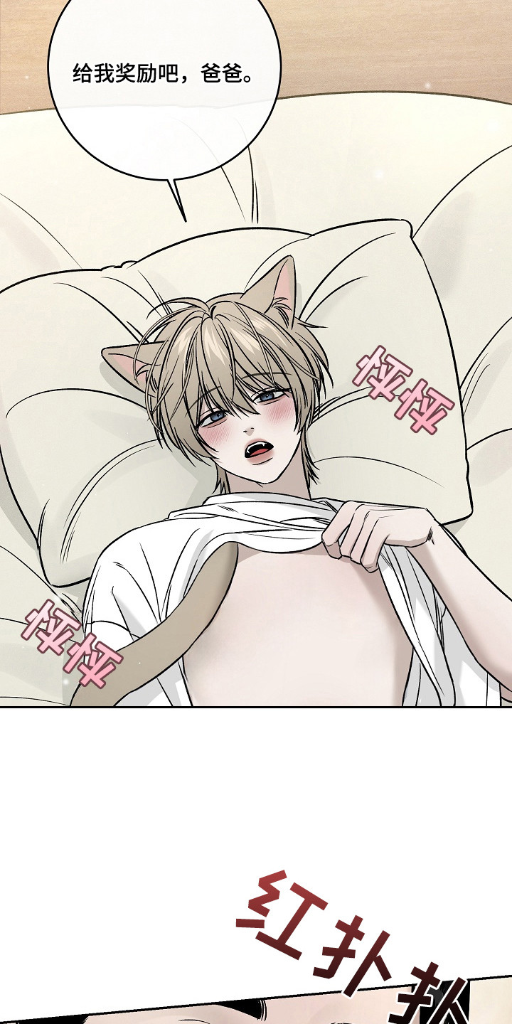 侵蚀猫咪日记蝴蝶角色介绍漫画,第1章：小猫玩具2图