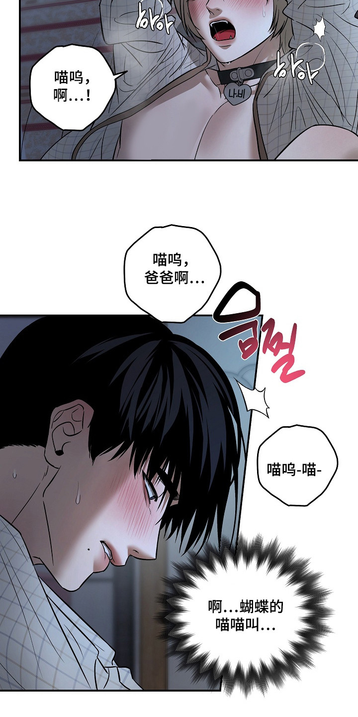 侵蚀猫咪日记动画介绍漫画,第11章：帮忙解决4图