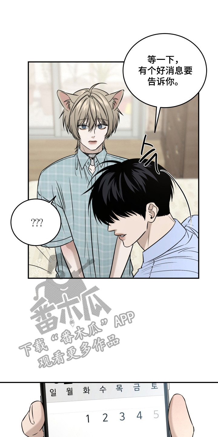 侵蚀猫咪日记作者有几个漫画,第9章：长大了4图