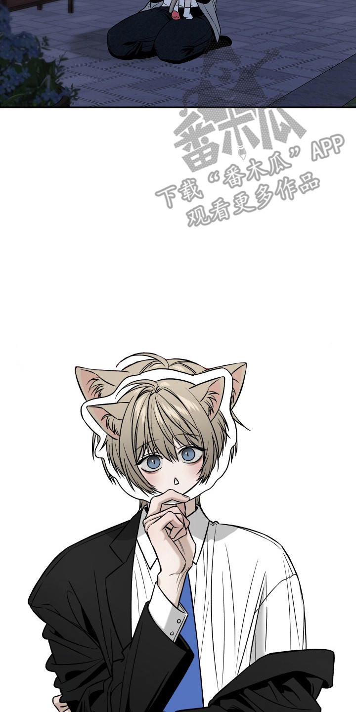 侵蚀猫咪日记动画介绍漫画,第8章：自责2图