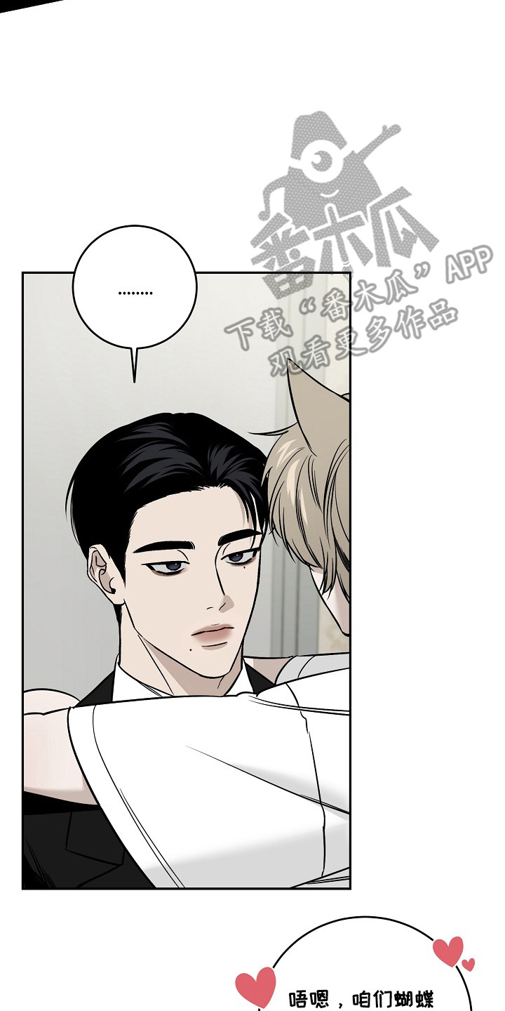 侵蚀猫咪日记3玩法攻略漫画,第1章：小猫玩具4图