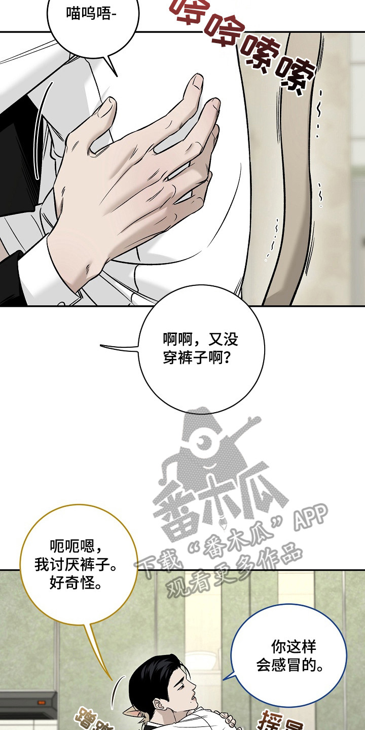侵蚀猫咪日记3玩法攻略漫画,第1章：小猫玩具2图