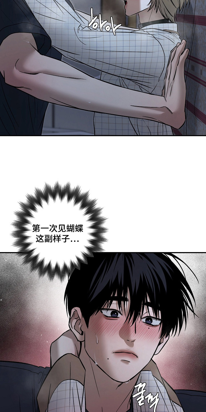 侵蚀猫咪日记动画介绍漫画,第11章：帮忙解决2图