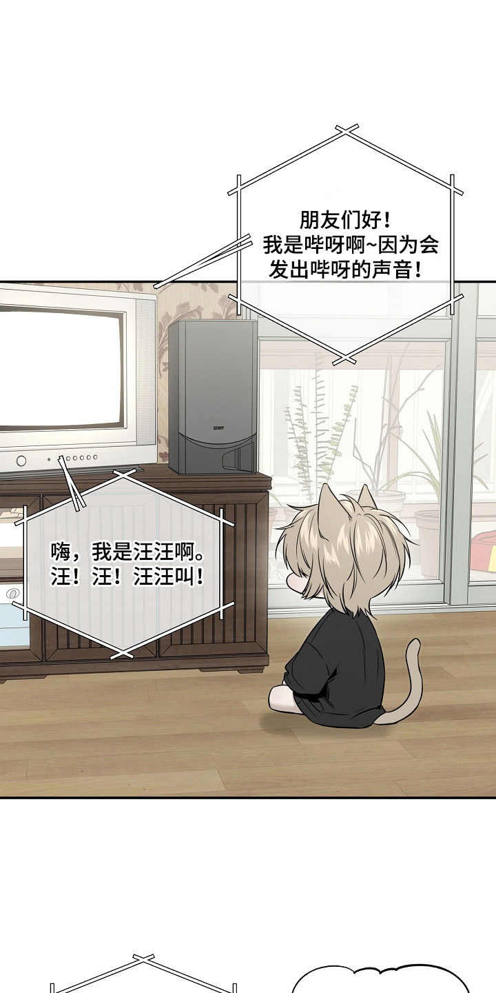 侵蚀猫咪日记作者有几个漫画,第4章：十分可爱5图