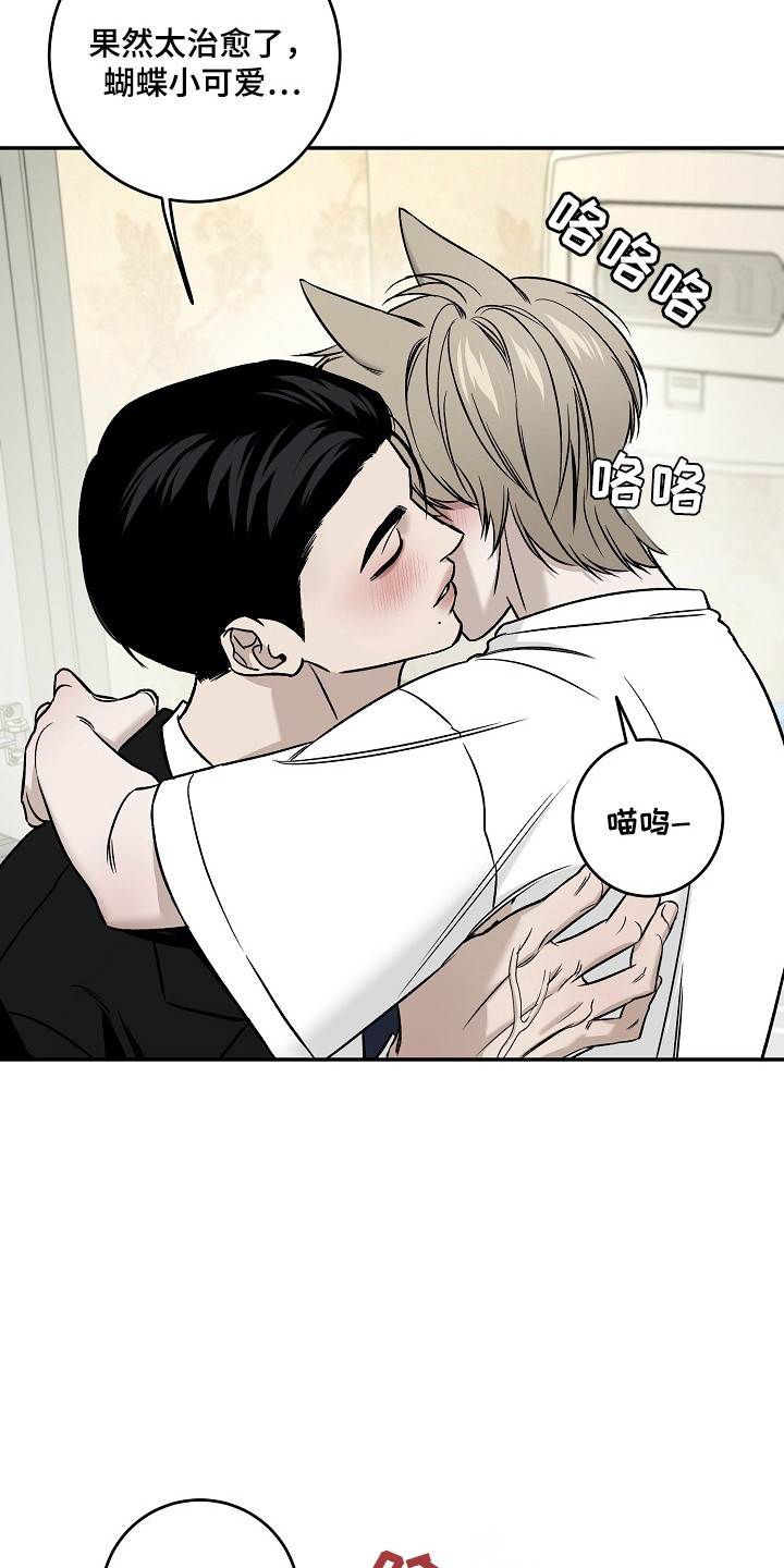 侵蚀猫咪日记3玩法攻略漫画,第1章：小猫玩具1图