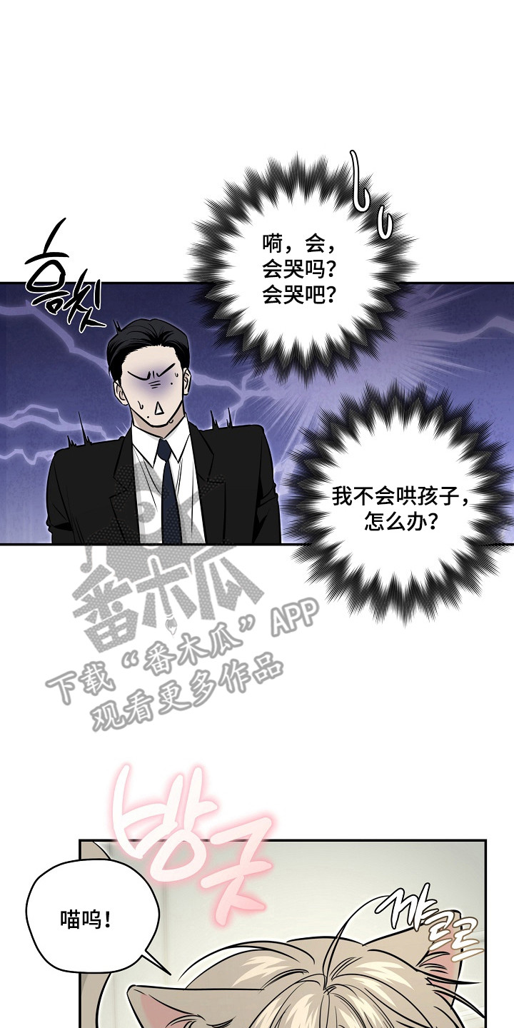 侵蚀猫咪日记在漫蛙上叫什么漫画,第3章：收留5图