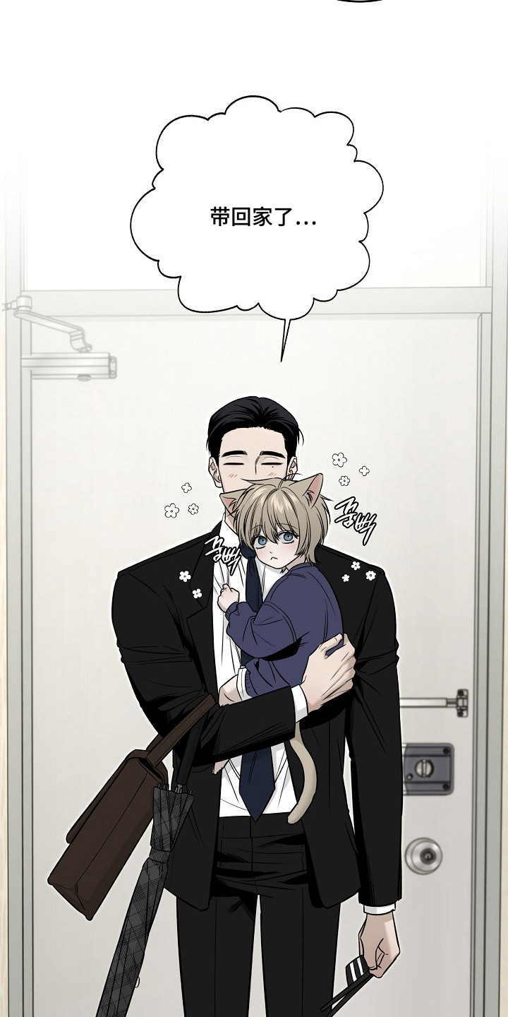 侵蚀猫咪日记在漫蛙上叫什么漫画,第3章：收留1图