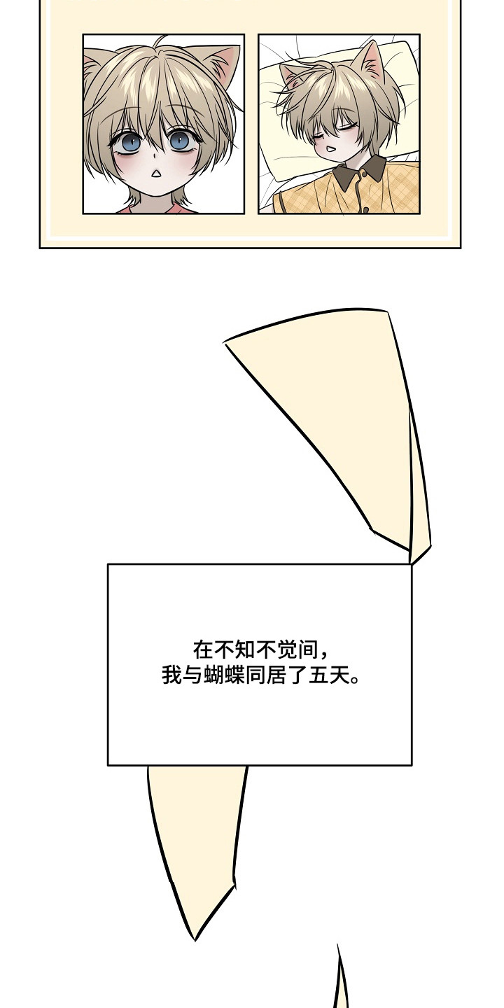 侵蚀猫咪日记喵仔漫画,第5章：寻找主人1图