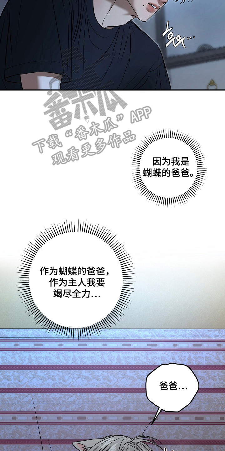 侵蚀猫咪日记动画介绍漫画,第11章：帮忙解决2图